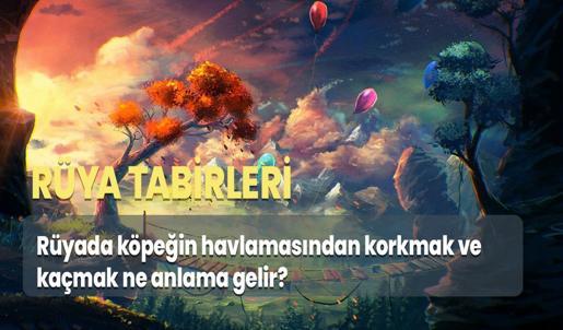 Rüyada Köpeğin Havlamasından Korkmak ve Kaçmak Ne Anlama Gelir?