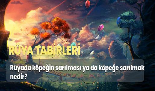 Rüyada Köpeğin Sarılması ya da Köpeğe Sarılmak Ne Anlama Gelir?