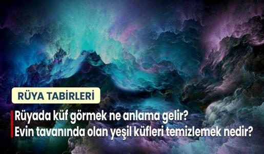 Rüyada Küf Görmek Ne Anlama Gelir? Evin Tavanında Olan Yeşil Küfleri Temizlemek Nedir?