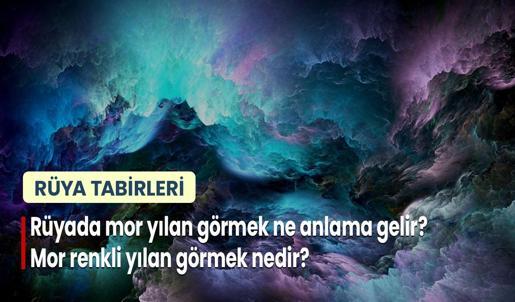 Rüyada Mor Yılan Görmek Ne Anlama Gelir? Mor Renkli Yılan Görmek Nedir?