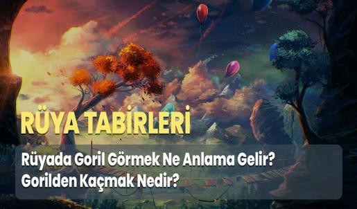 Rüyada Goril Görmek Ne Anlama Gelir? Gorilden Kaçmak Nedir?