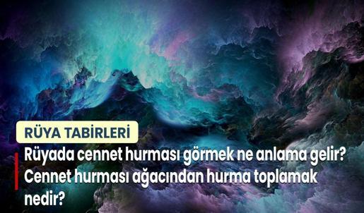 Rüyada Cennet Hurması Görmek Ne Anlama Gelir? Cennet Hurması Ağacından Hurma Toplamak Nedir?