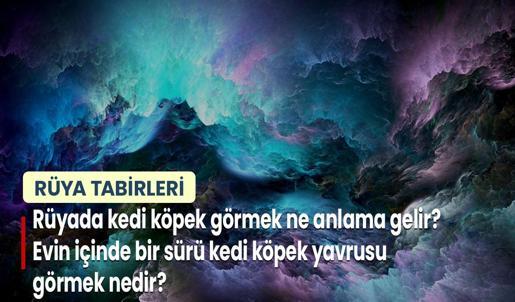 Rüyada Kedi Köpek Görmek Ne Anlama Gelir? Evin İçinde Bir Sürü Kedi Köpek Yavrusu Görmek Nedir?