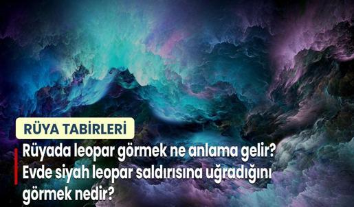 Rüyada Leopar Görmek Ne Anlama Gelir? Evde Siyah Leopar Saldırısına Uğradığını Görmek Nedir?
