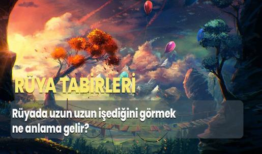 Rüyada Uzun Uzun İşediğini Görmek Ne Anlama Gelir? Çok Fazla İşediğini Görmek Nedir?