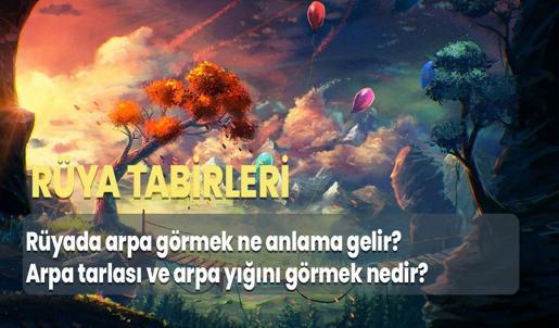 Rüyada Arpa Görmek Ne Anlama Gelir? Arpa Tarlası ve Arpa Yığını Görmek Nedir?