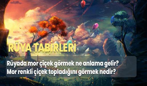Rüyada Mor Çiçek Görmek Ne Anlama Gelir? Mor Renkli Çiçek Topladığını Görmek Nedir?