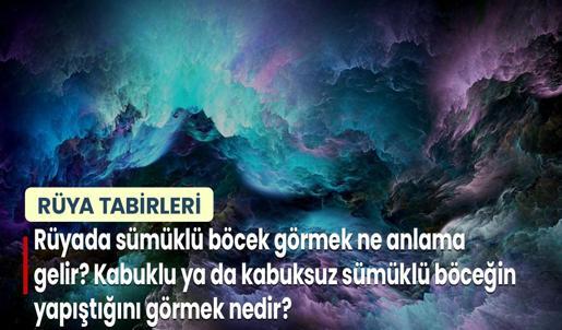 Rüyada Sümüklü Böcek Görmek Ne Anlama Gelir? Kabuklu ya da Kabuksuz Sümüklü Böceğin Yapıştığını Görmek Nedir?