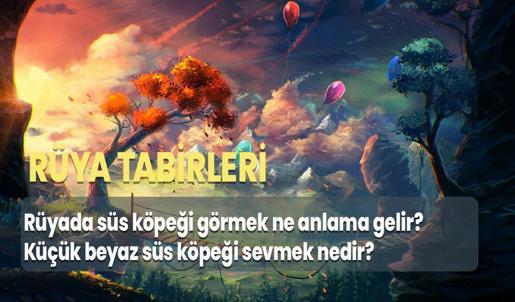 Rüyada Süs Köpeği Görmek Ne Anlama Gelir? Küçük Beyaz Süs Köpeği Sevmek Nedir?