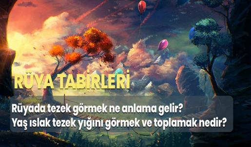 Rüyada Tezek Görmek Ne Anlama Gelir? Yaş Islak Tezek Yığını Görmek ve Toplamak Nedir?