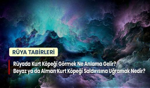 Rüyada Kurt Köpeği Görmek Ne Anlama Gelir? Beyaz ya da Alman Kurt Köpeği Saldırısına Uğramak Nedir?