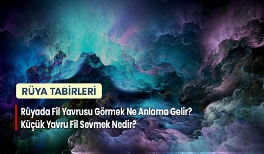 Rüyada Fil Yavrusu Görmek Ne Anlama Gelir? Küçük Yavru Fil Sevmek Nedir?