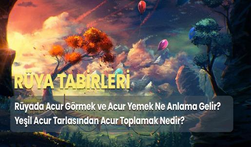 Rüyada Acur Görmek ve Acur Yemek Ne Anlama Gelir? Yeşil Acur Tarlasından Acur Toplamak Nedir?