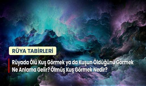 Rüyada Ölü Kuş Görmek ya da Kuşun Öldüğünü Görmek Ne Anlama Gelir? Ölmüş Kuş Görmek Nedir?