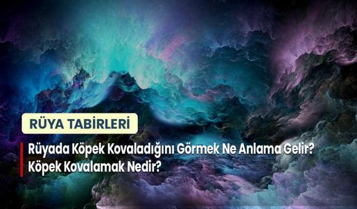 Rüyada Köpek Kovaladığını Görmek Ne Anlama Gelir? Köpek Kovalamak Nedir?
