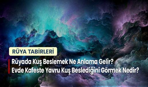 Rüyada Kuş Beslemek Ne Anlama Gelir? Evde Kafeste Yavru Kuş Beslediğini Görmek Nedir?