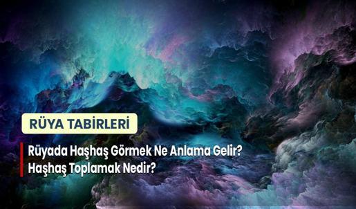 Rüyada Haşhaş Görmek Ne Anlama Gelir? Haşhaş Toplamak Nedir?