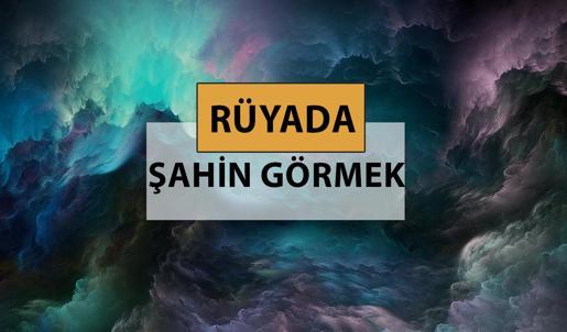 Rüyada şahin görmek ne anlama gelir, ne demek? Rüyada şahin görmek neye delalettir?