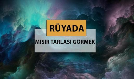 Rüyada mısır tarlası görmek ne anlama gelir, ne demek? Rüyada mısır tarlası görmek neye delalettir?