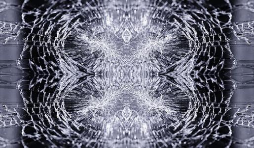 Görsel zeka testi: Resimde hangi hayvan var? Hemen fark edenler analitik, göremeyenler…