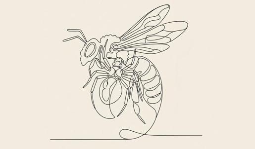 Kişilik testi: İlk gördüğün hayvan arı mı örümcek mi? Disiplinli misin stratejik mi?