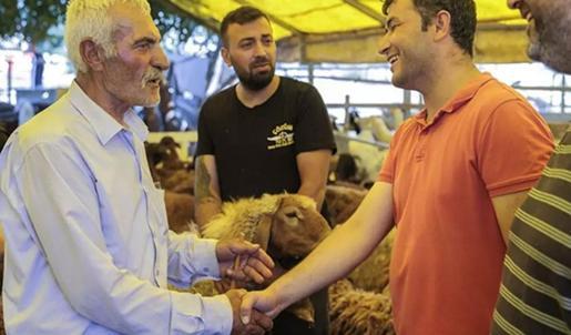 Büyükbaş, küçükbaş kurbanlık fiyatları! 2026 kurban fiyatları ne kadar, kaç TL?