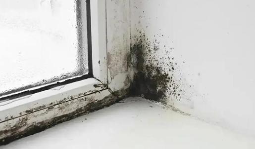 Küf ve rutubet sorunu varsa bakın! Meğer çözümü buymuş