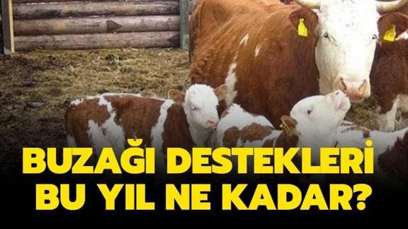 Buzagi Odemesi Ne Kadar