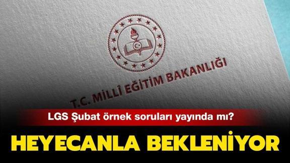 Subat Ayi Lgs Ornek Soru Kitapcigi Ne Zaman Yayinlanir Lgs Subat 2021 Ornek Sorulari Yayinda Mi