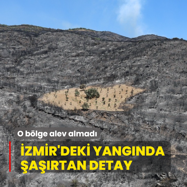 zmir'deki yangnda artan detay... O blge alev almad