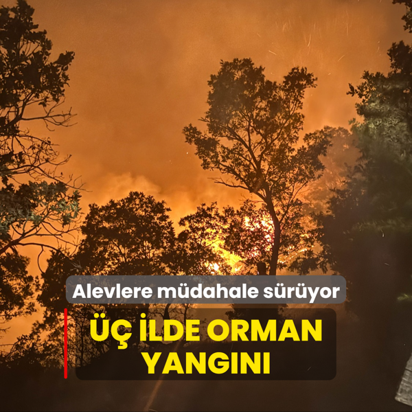  ilde orman yangn... Alevlere mdahale sryor