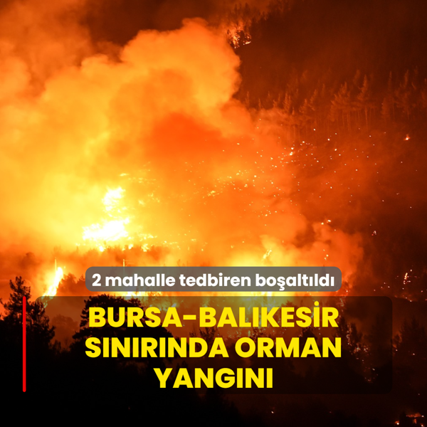 Bursa-Balkesir snrnda orman yangn... 2 mahalle tedbiren boaltld