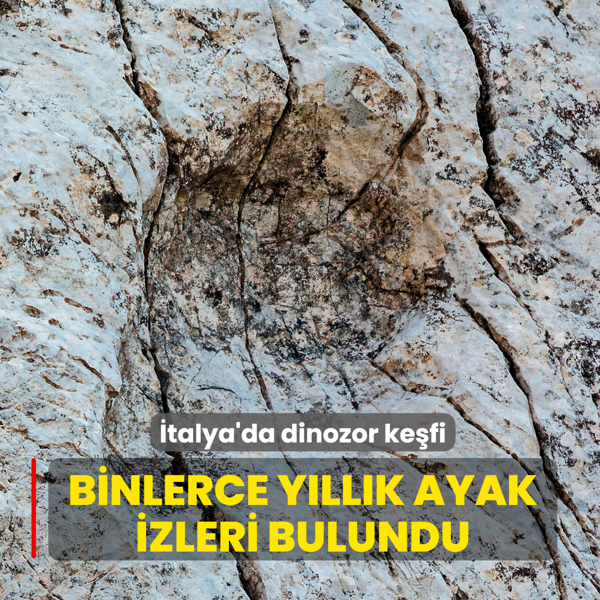 �talya'da dinozor ke�fi... Binlerce y�ll�k ayak izleri bulundu