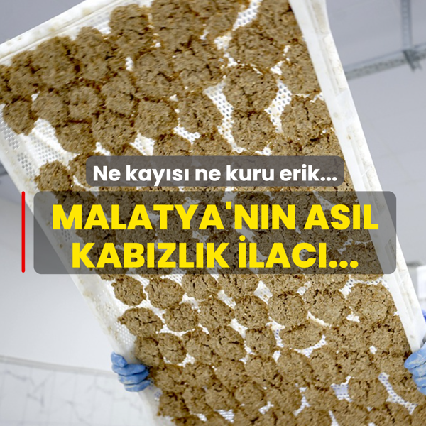 Ne kay�s� ne kuru erik... Malatya'n�n as�l do�al kab�zl�k ilac� farkl�: Lif ve protein deposu
