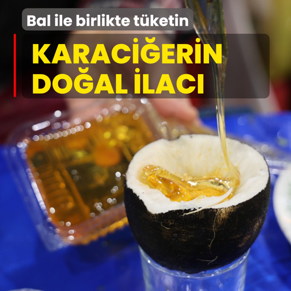 Antioksidan deposu, ad�n� bilen yok: Bal d�k�p t�ketin! Karaci�er ya�lanmas�n�n k�k�n� kurutuyor