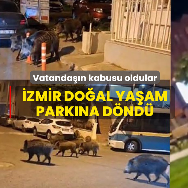 �zmir do�al ya�am park�na d�nd�! Vatanda��n kabusu oldular
