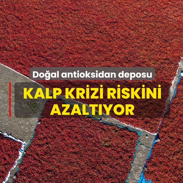 Do�al antioksidan deposu: �ster �i� ister pi�mi� t�ket! Kalp krizi riskini azalt�yor