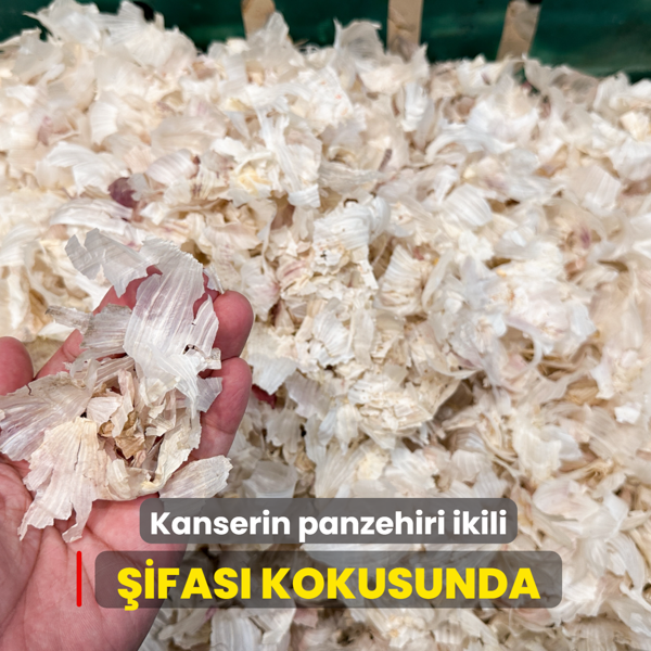 Kanserin panzehiri ikili: �ifas� kokusunda, t�m�r sava���s�