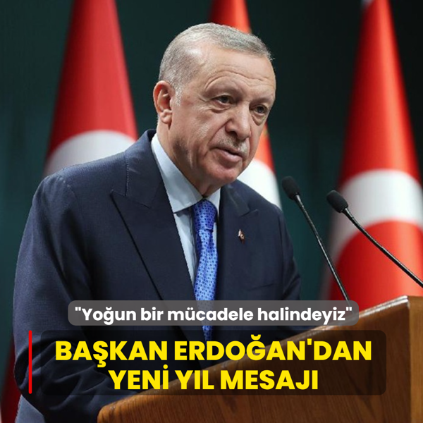Ba�kan Erdo�an'dan Mehmet�i�e yeni y�l tebri�i... �Yo�un bir m�cadele halindeyiz�