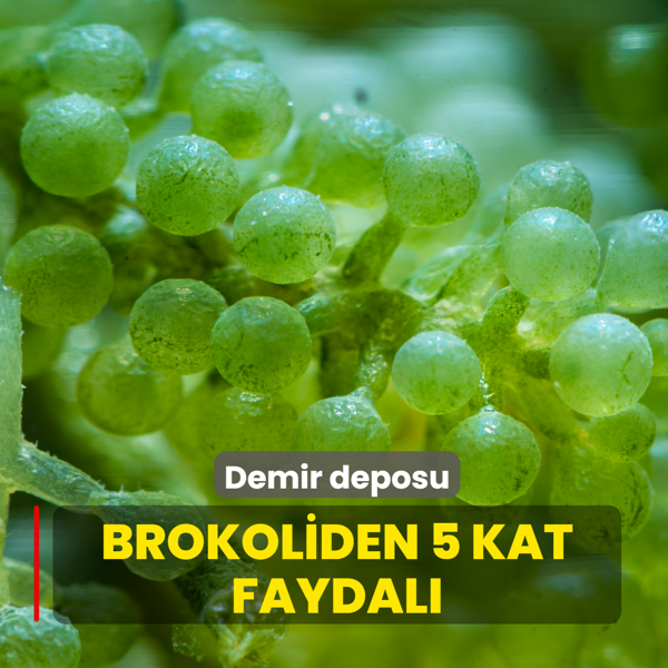 Brokoliden 5 kat faydal�: Demir deposu ye�il s�per g�� sofrada