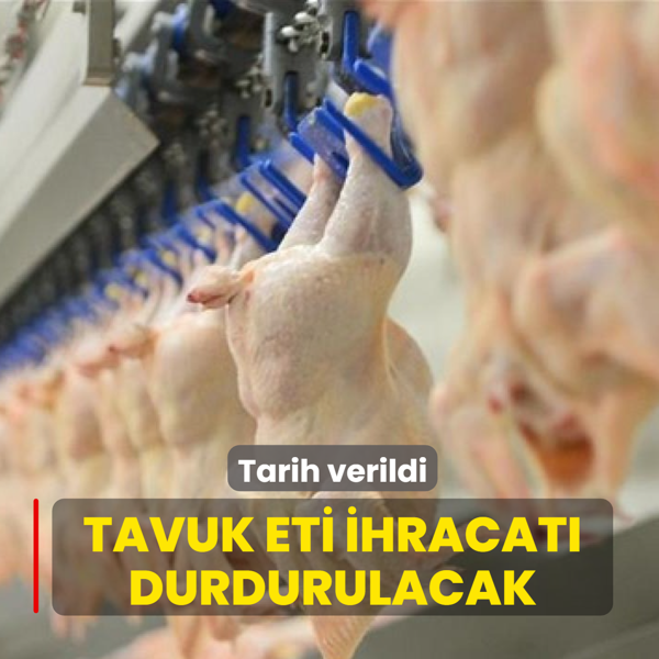 Tarih verildi: Tavuk eti ihracat� durdurulacak