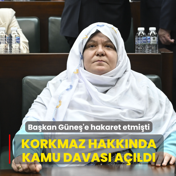 Ba�kan G�ne�'e hakaret etmi�ti! �P'li �ah�s hakk�nda kamu davas� a��ld�