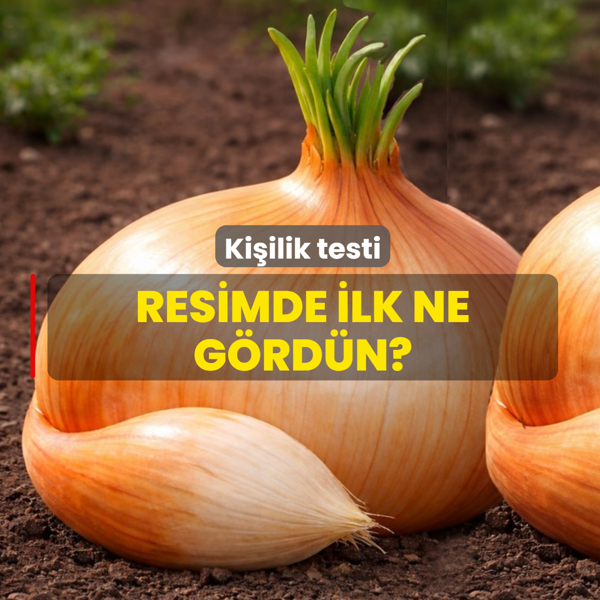 Resimde ilk ne g�rd�n, tilki mi so�an m�? �retken misin miras�� m� ortaya ��k�yor