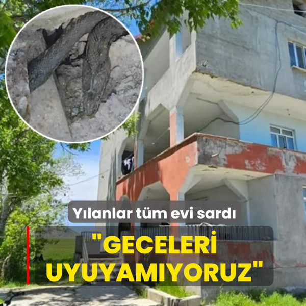 Y�lanlar t�m evi sard�: Geceleri uyuyam�yoruz