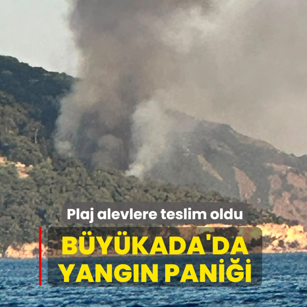 B�y�kada'da yang�n pani�i: Plaj alevlere teslim oldu