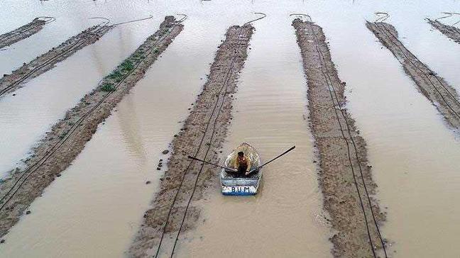 Ceyhan Nehri taştı ev ve tarlalar su altında kaldı