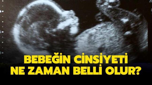 becerikli ayakta durmak ligasyonu hamilelikte erkek bebek nasil belli olur marianpublicschool org