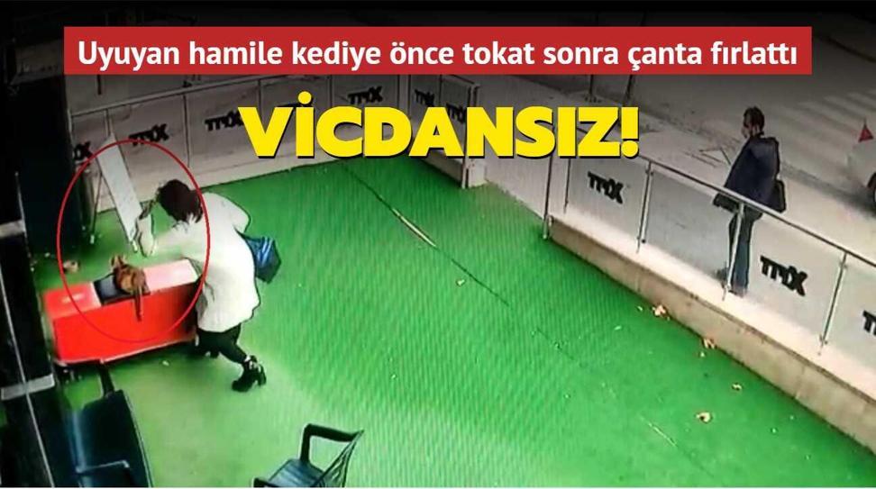 Vicdans�z! Uyuyan hamile kediye �nce tokat sonra �anta f�rlatt�